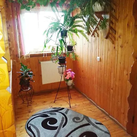 Guest house 