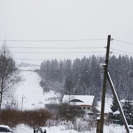 різьб'ярська *